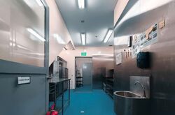 Mactaggart Foodlink (D13), Factory #601896421